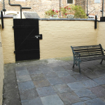 13-Welby-St-Back-Yard