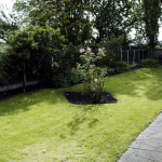 102-birchfields-road-garden