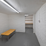 12-Argyle-Avenue-Cellar-7