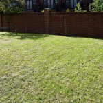 61-denison-rd-back-garden-1