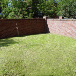 61-denison-rd-back-garden