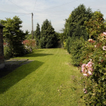88-Birchfields-Rd-Garden